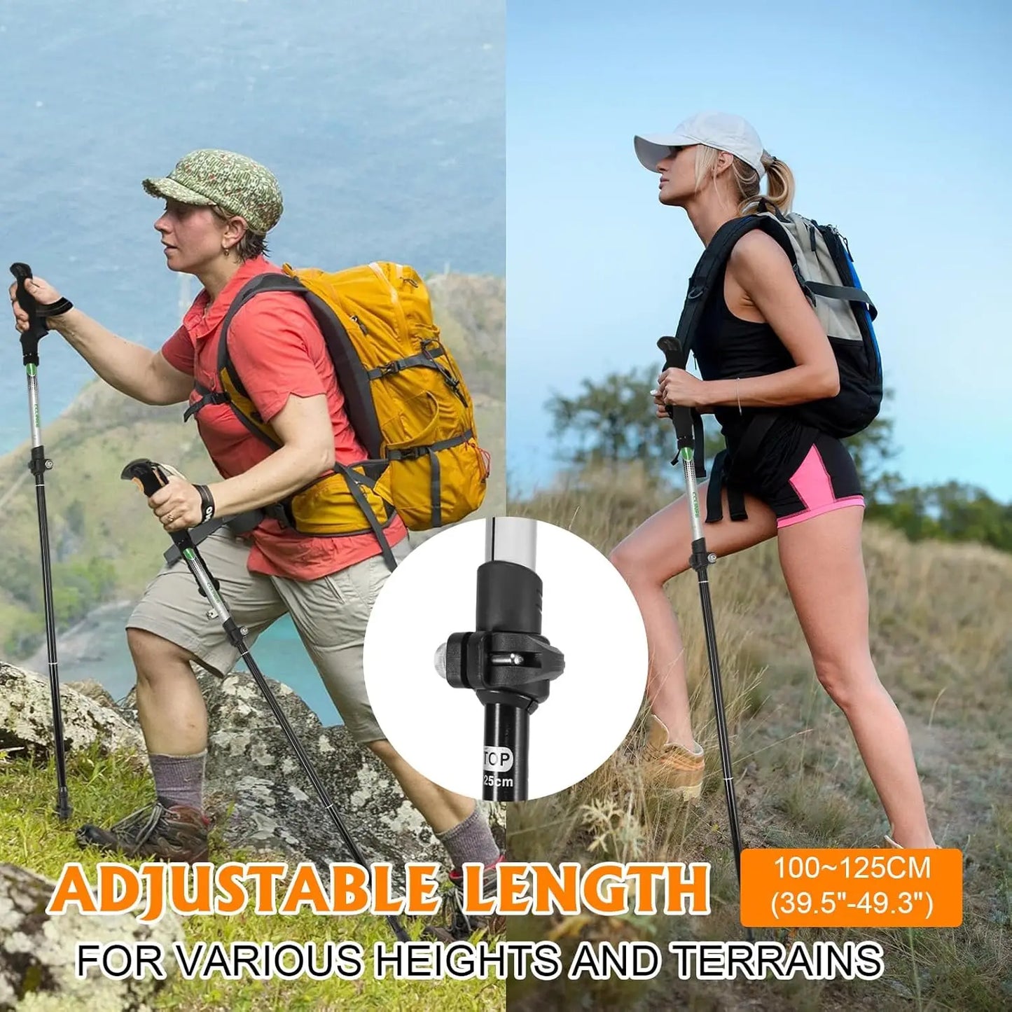 Hiking Pole with Carrying Case
