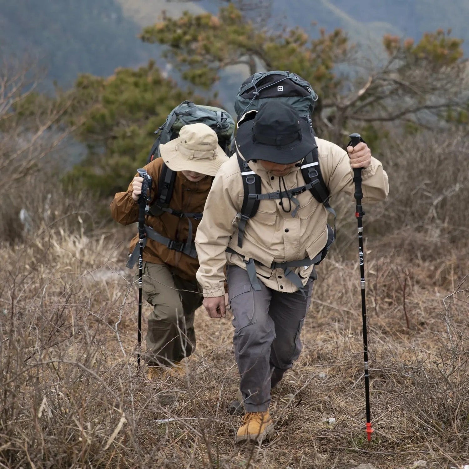Hiking Poles