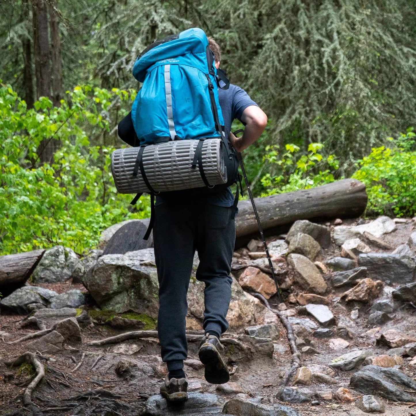 Classic  Trekking Pole