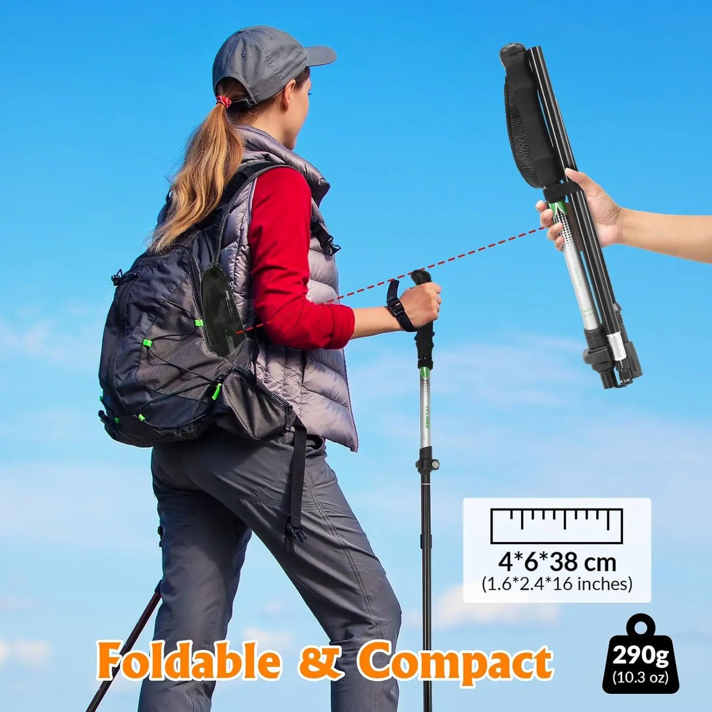 Hiking Pole with Carrying Case